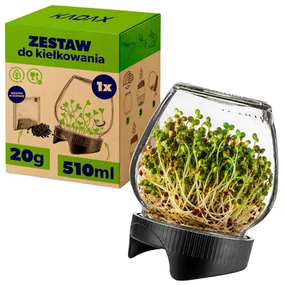 Image de Récipient en verre, contenant des graines, pour la germination