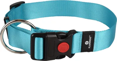 Produktbild von Flamingo Halsband Ziggi türkis, Größe: XL