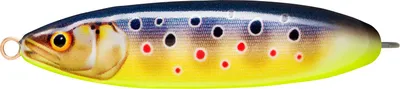 Immagine prodotto di Rapala Weedless Minnow Spoon (Trota artistica)