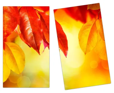 Produktbild von Spritzschutz Herdabdeckplatte Schneidebrett aus Glas Herbst Design 2-Teilig (60x52cm)