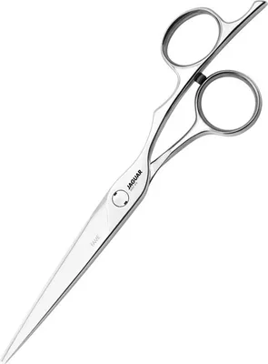 Produktbild von Jaguar Schneideschere Scheren Silver Line Fame 5,5"