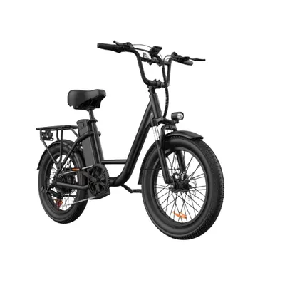 Produktbild von Elektrofahrrad URLIFE E20 - 250W Motor 48V 13Ah Batterie 20 Zoll Reifen Scheibenbremsen - Schwarz