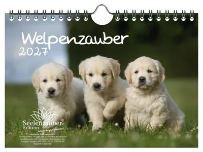 Produktbild von Welpenzauber DIN A5 Kalender für 2027 Hunde Welpen - Seelenzauber