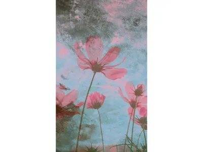 Produktbild von Fototapete - Pink Flower Abstract 150x250cm - Vliestapete