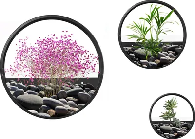 Produktbild von Blumentöpfe 3Er-Set Wand-Pflanzgefäße Sukkulenten Kakteen Wandvase Stahl Schwarz Garten Wohnzimmer
