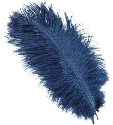 10 Straußenfedern, 25-30 cm, bunt, für Basteln & Deko