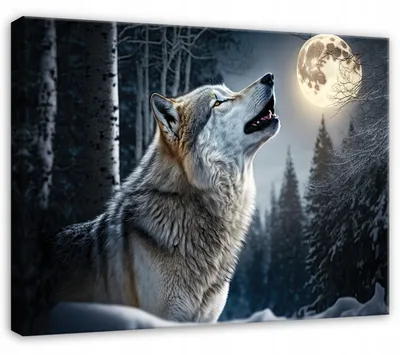 Produktbild von Leinwandbild Wolf Wald Tiere - 100x70 cm - Wandbilder Wohnzimmer Schlafzimmer - Leinwand Leinwandbild Schwarz - PP14751O1