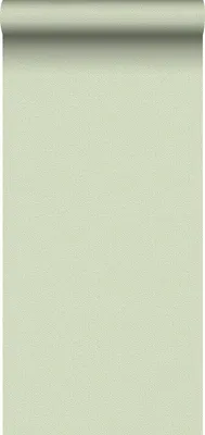 Obrázok produktu pre Sanders & Sanders tapeta bodky zelená 53 cm x 10,05 m