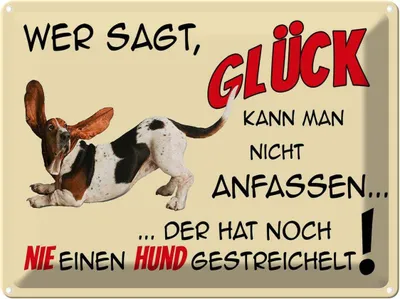 Produktbild von vianmo Blechschild 30x40 cm Hund wer sagt Glück kann nicht