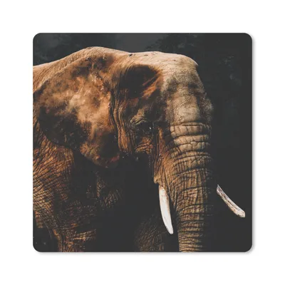 Produktbild von MuchoWow® Mauspad Mousepad Elefant - Tiere - Braun 30x30 cm - Mousepads - Maus Mat - Pad - Mausunterlage - Gaming