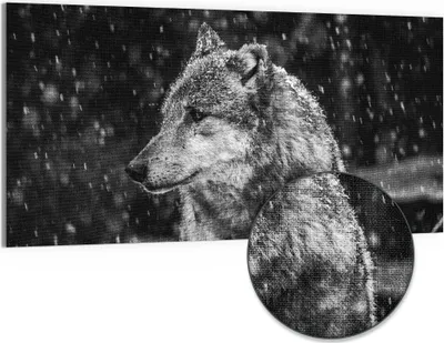 Produktbild von DEQORI Hybrid Leinwand Bild 100x50 cm 'Winterwächter' Wandbild Glas flach modern