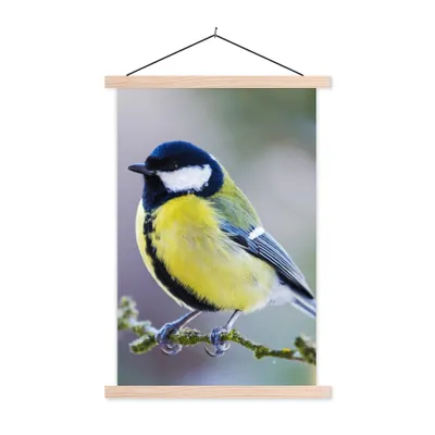 Produktbild von MuchoWow® Textilposter Kohlmeise - Vogel - Zweig 40x60 cm mit holzfarbenen Rahmen - Poster
