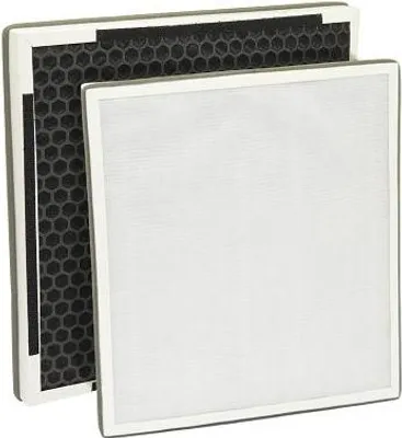 Image de Filtre Hepa/carbone pour Webber AP8400 FA15
