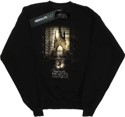 Produktbild von Fantastic Beasts - Sweatshirt für Herren BI23300 (L) (Schwarz)