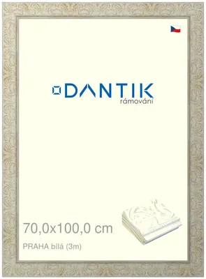 Obrázok produktu pre Rám DANTIK 70x100 | PRAHA White (Plexi Clear)