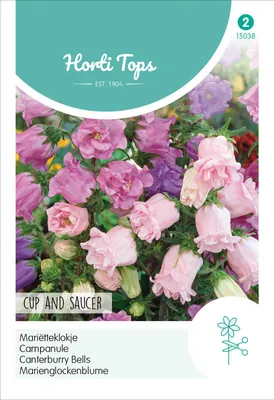 Produktbild von Marienglockenblume Cup and Saucer Mischung | Blumensamen von Hortitops