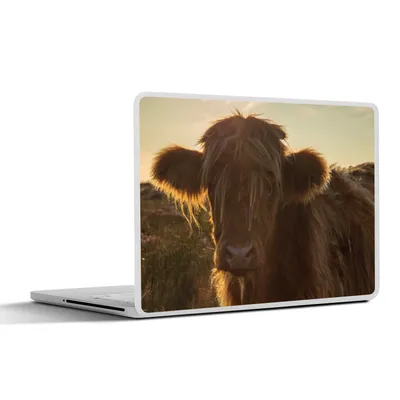 Produktbild von MuchoWow® Laptop Aufkleber Sticker Cover Schottischer Highlander - Sonnenuntergang - Gras 25x18 cm - Laptop-Deko