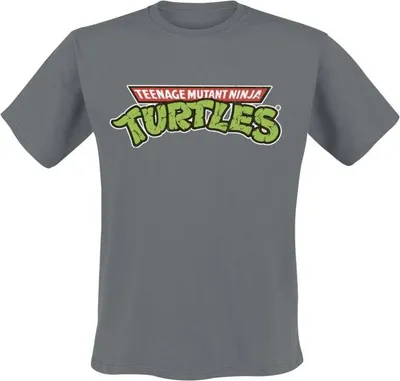 Produktbild von Teenage Mutant Ninja Turtles T-Shirt Herren TMNT Classic Logo dunkelgrau L