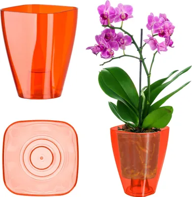 Obrázok produktu pre Kvetináč na orchidey – Kvetináč na kvetináče – Plast – Malý – Pre interiér – Červený