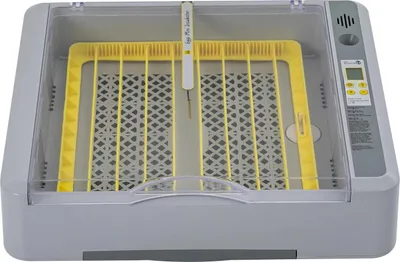 Obrázek produktu pro Inkubátor na vejce - Inkubátor pro 36 vajec - Automatické otáčení - Regulace teploty a vlhkosti - Digitální displej - Šedý