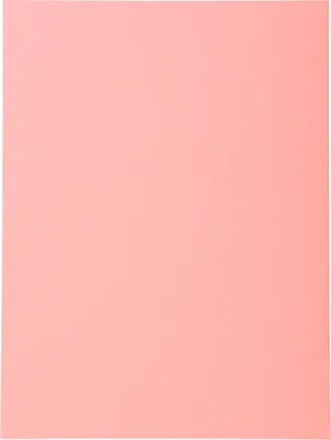 Produktbild von Exacompta 5x 100er Aktendeckel Recycling 24x32cm - Rosa - 420003E