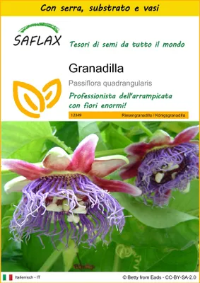 Immagine prodotto di SAFLAX Insieme di coltivazione - Granadilla - 12 semi - Passiflora