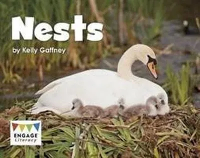 Obrázok produktu pre Nests