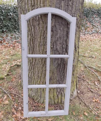 A grey wooden window frame with six panes leans against a tree trunk outdoors.