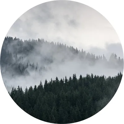 Produktbild von Sticker Kreis nebelige LANDSCHAFT Wald Bäume Pflanzen Grün Natur 3D Wanddeko Wandtattoo Wohnzimmer Schlafzimmer 100 cm x 100 cm
