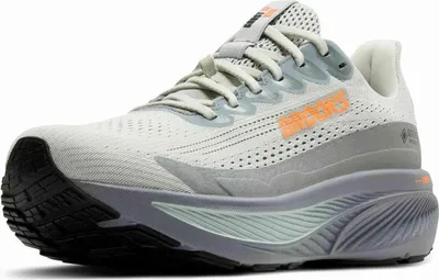 Produktbild von Brooks Ghost 17 Gore-tex® Laufschuhe Grau EU 42 Mann Grau EU 42