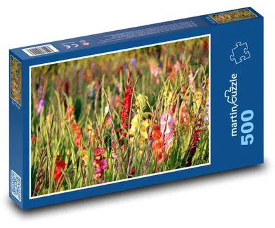 Zdjęcie produktu dla martinpuzzle - Puzzle 500 - Mečíky - kwiaty, ogród