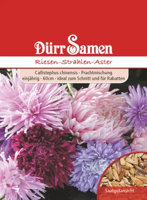 Produktbild von Aster Riesen Strahlen | Asternsamen von Dürr Samen