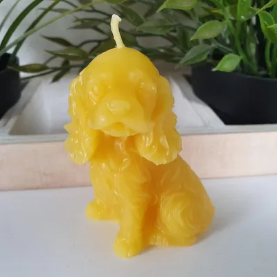 Produktbild von Bienenwachskerze Cocker Spaniel Kerze 7 cm sitzend – Hund mit langen gewellten Ohren