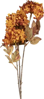 Produktbild von Clayre & Eef Kunstblume 10x8x76 cm Orange Kunststoff