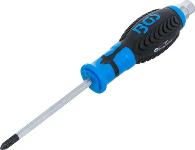 Immagine prodotto di BGS Lama per cacciavite con profilo esagonale Phillips PH2 Lunghezza lama 100 mm - 7913