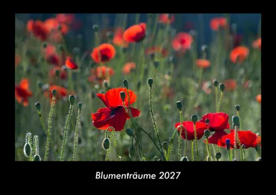 Produktbild von Blumenträume 2027 Fotokalender DIN A3
