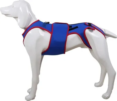 Produktbild von INF Hunde Rückenstütze Weste: Haltungskorrektur & Nackenschutz XL