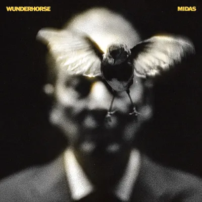 Produktbild von Wunderhorse: Midas