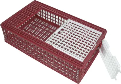 Produktbild von Geflügel-Transportbox PVC 95,5 x 57 x 27,5 cm