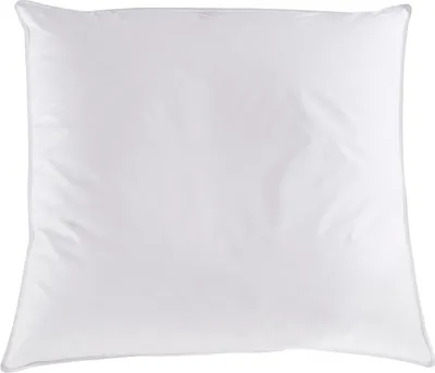Produktbild von Traumschlaf Federkissen Silber 70% Federn, 30% Daunen 80x80 cm