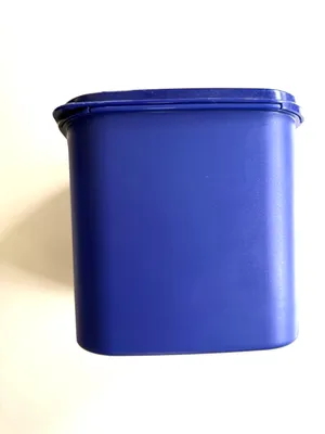 Immagine prodotto di TUPPERWARE Eidgenosse 4,0 L blu, contenitore quadrato compatto per conserve, sistema modulare