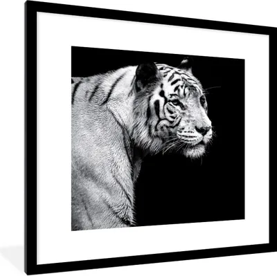 Produktbild von MuchoWow® Gerahmtes Poster Tierprofil Tiger in schwarz und weiß 40x40 cm - Poster mit Schwarzem Bilderrahmen Wandposter Rahmen Foto Bilder - Poster - Plakat im Rahmen