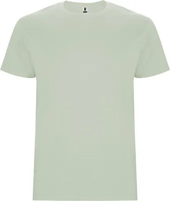Produktbild von Roly CA6681 | Stafford T-Shirt - Doppellagiger Rundhalskragen - Farbe: Mist Green 264 - Größe: M