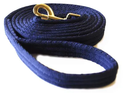 Immagine prodotto di Guinzaglio per cani Rhinegold, imbottito, colore blu navy, taglia unica