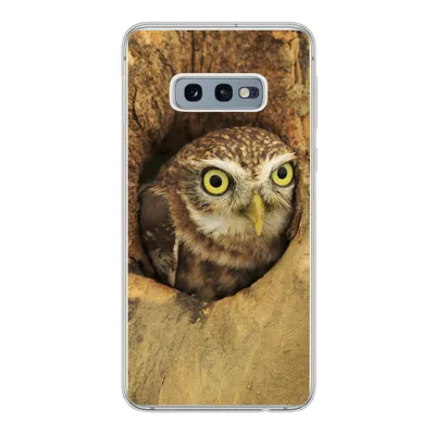 Produktbild von MuchoWow® Handyhülle Schutzhülle Hülle für Samsung Galaxy S10e Braune Eule, die aus einem Loch in einem Baum schaut Silikon Softcase Handy Hülle - Handy