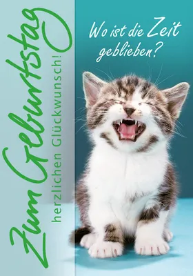 Produktbild von Geburtstag  Glückwunschkarte im Format 115x17cm mit Umschlag