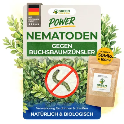 Produktbild von Nematoden gegen Buchsbaumzünsler – 50 Mio. - Buchsbaumzünsler bekämpfen, Mittel gegen Buchsbaumzünsler, Buchsbaumzünsler Raupen bekämpfen, raupenfrei