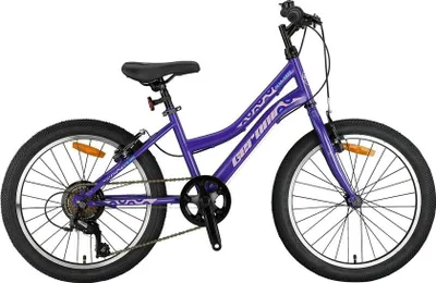Produktbild von 20 Zoll Kinder Fahrrad Mädchen MTB Mountainbike Rad Bike GRN26047 Lila