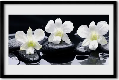 Produktbild von Bild 60x40 MDF-Rahmen Wandkunst Orchid Pflanze Steine
