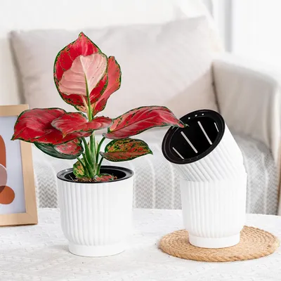 Immagine prodotto di vaso da 15 cm in plastica autoinnaffiante con sistema di irrigazione per piante d'appartamento - bianco